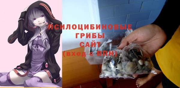 прущая мука Бородино