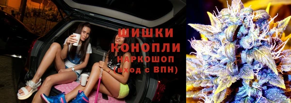 прущая мука Бородино