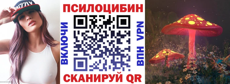 Псилоцибиновые грибы GOLDEN TEACHER  Купить закладки  Жердевка 