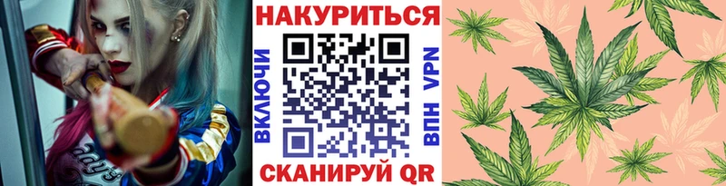 Купить где  Жердевка  Канабис Amnesia 